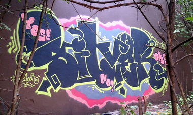 Graffiti Bombing in Prague - Photo by Exist333