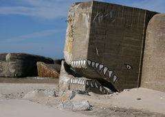 Photo #163431 by Belt