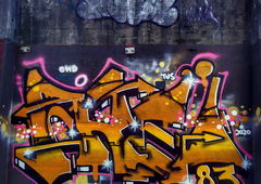 Photo #231455 by BugZBuNNy