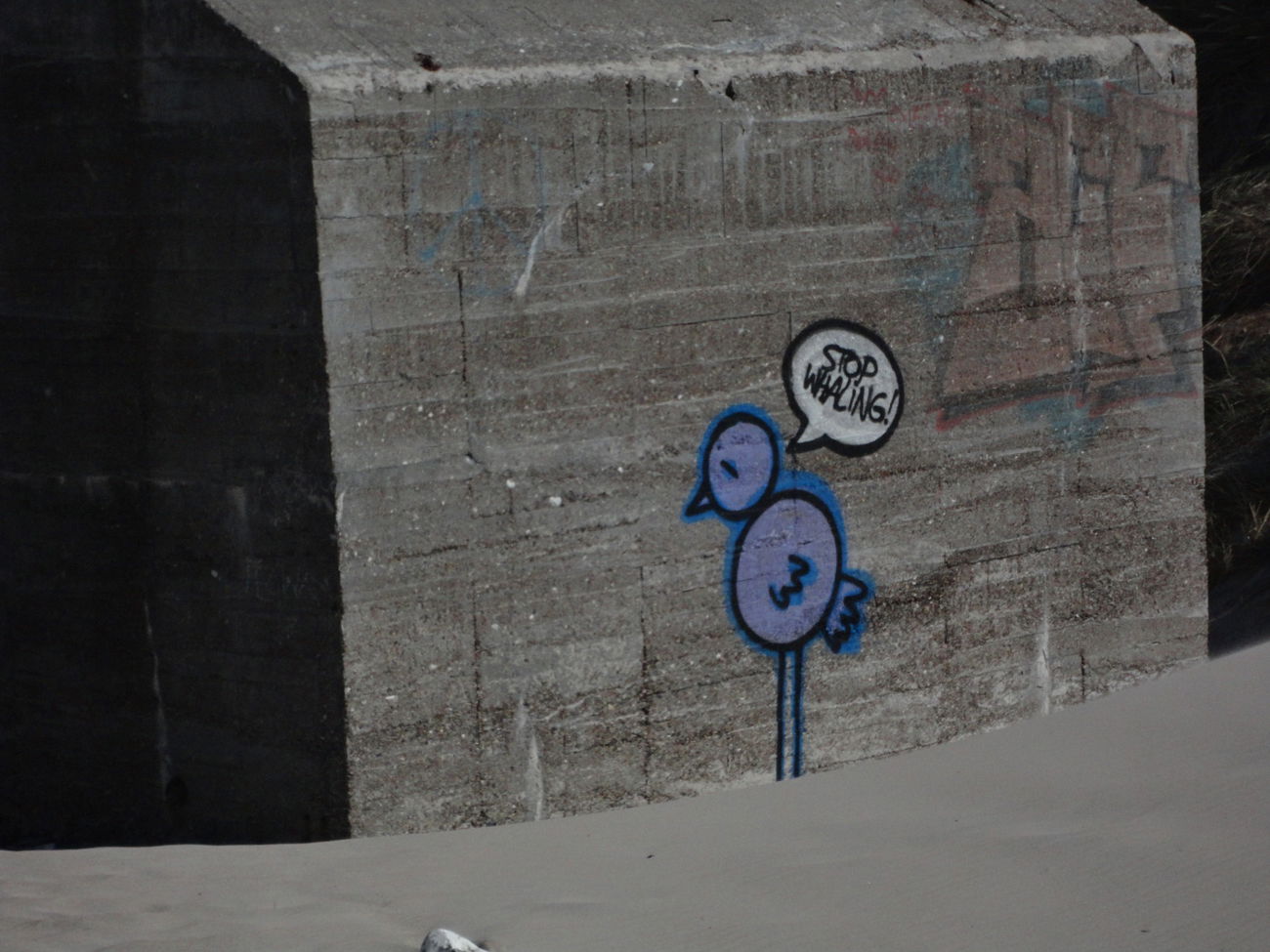 Graffiti Bombing - Photo by Exuserwithname