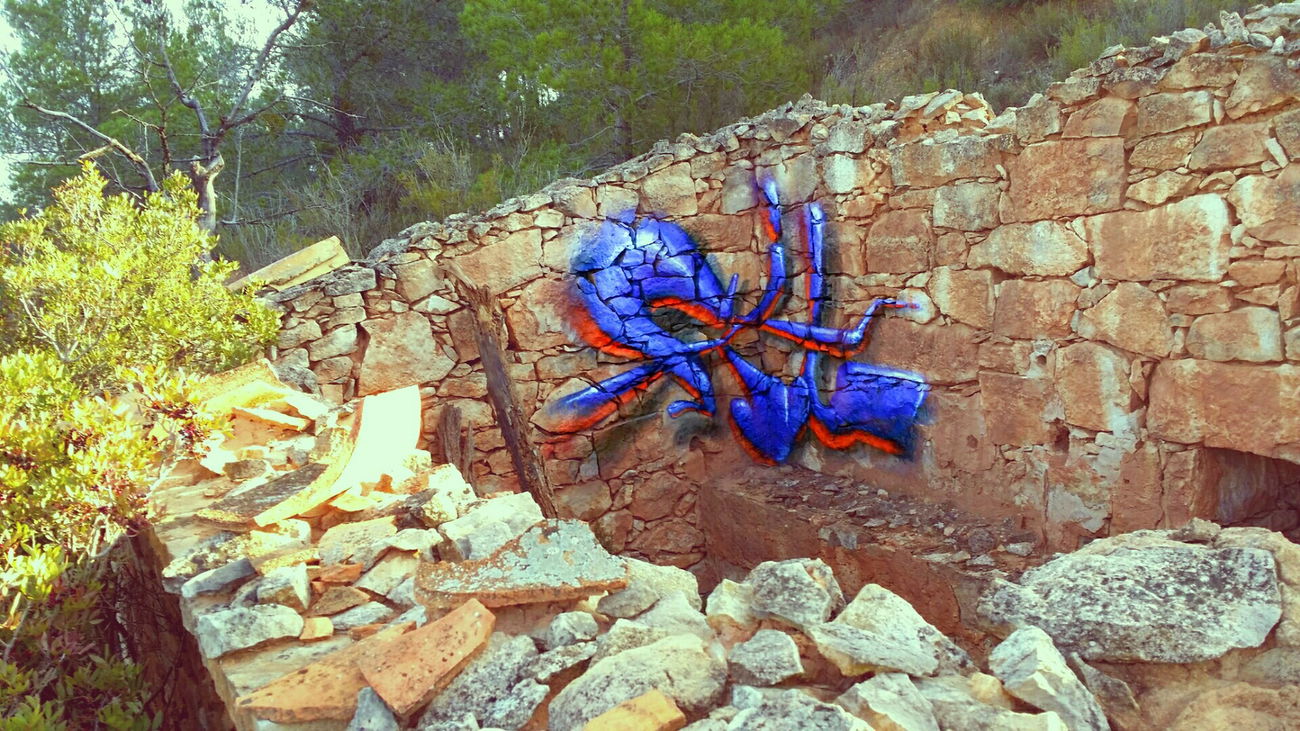 Graffiti Wall in Espanya - Photo by FIL (2016)