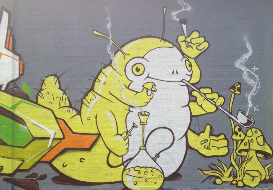 Graffiti Wall in Bad Vilbel - Photo by FINK72 - fink, fink72, fink (2013)