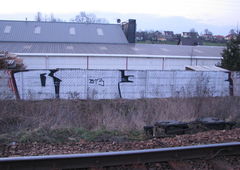 Photo #93920 by Taj3mnicaa