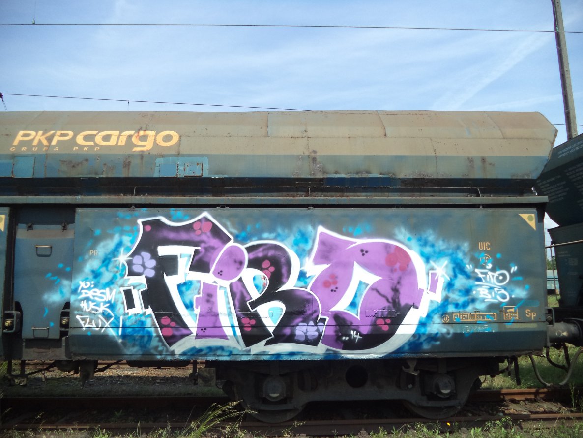 Graffiti Train - Photo by FIROONE