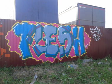 Graffiti Wall in Ekaterinburg - Photo by FLESHone - Flesh (2013)