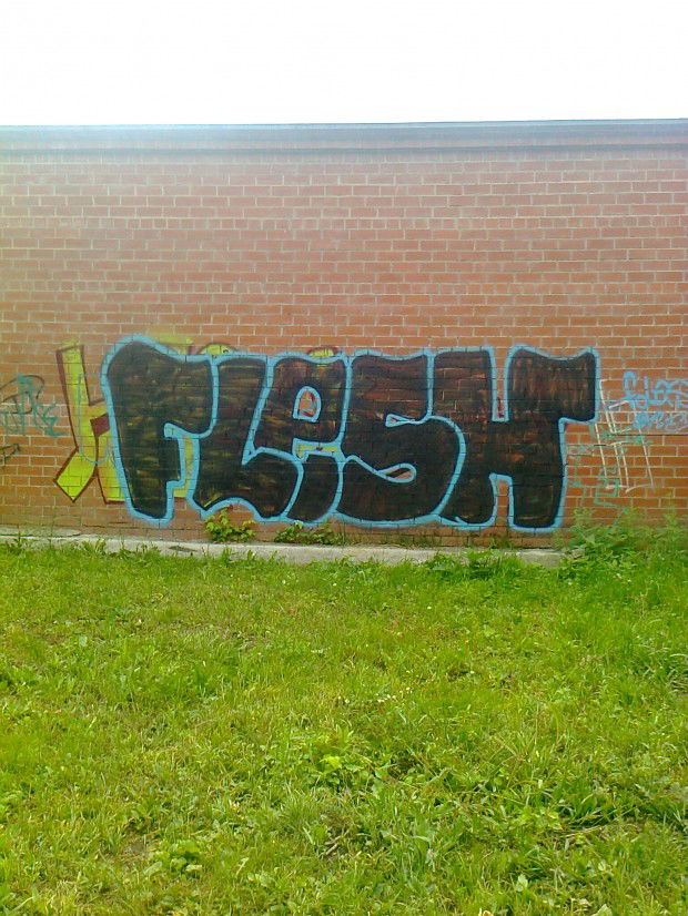 Graffiti Bombing in Ekaterinburg - Photo by FLESHone - Flesh (2012)