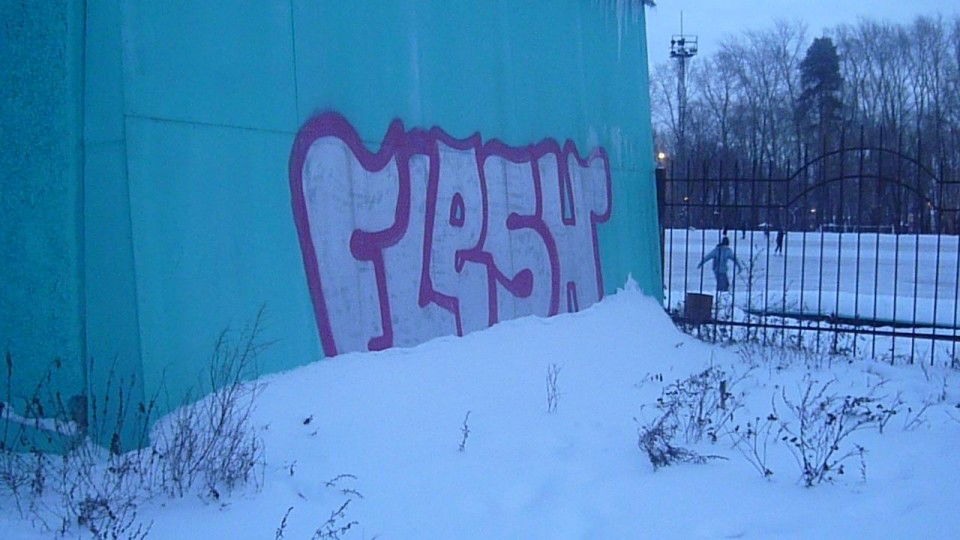 Graffiti Bombing in Ekaterinburg - Photo by FLESHone - Flesh (2012)