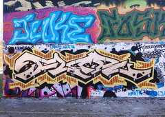 Photo #249654 by iobe1