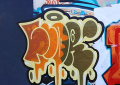 Photo #249687 by TheWallHunter