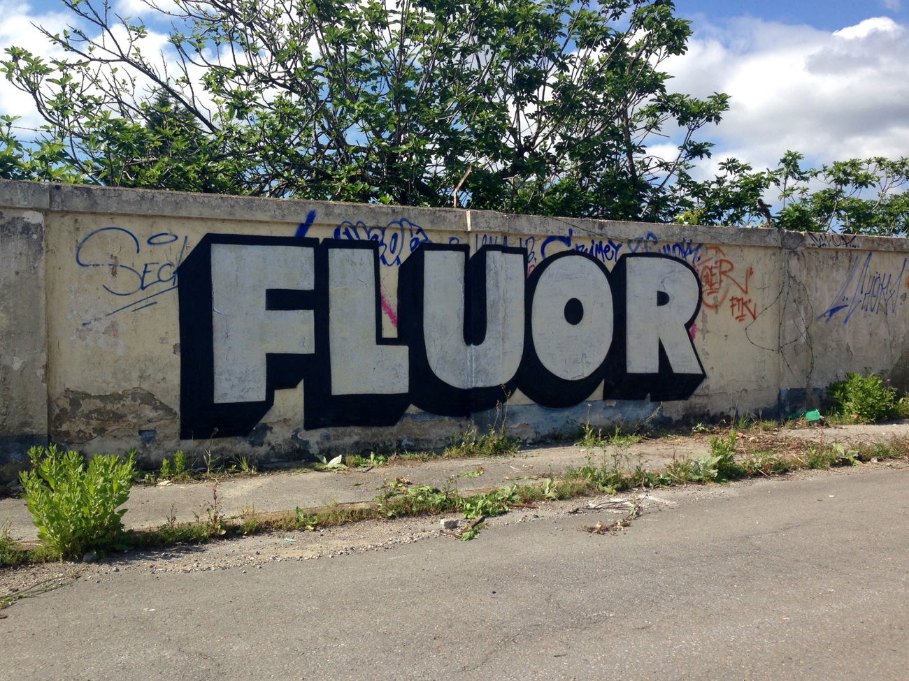 Graffiti Wall - Photo by FLUORONE - fluor, fluorone