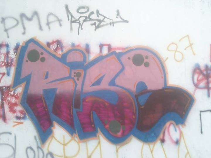 Graffiti Wall in Novi Sad - Photo by FLYONE - RISE (2013)