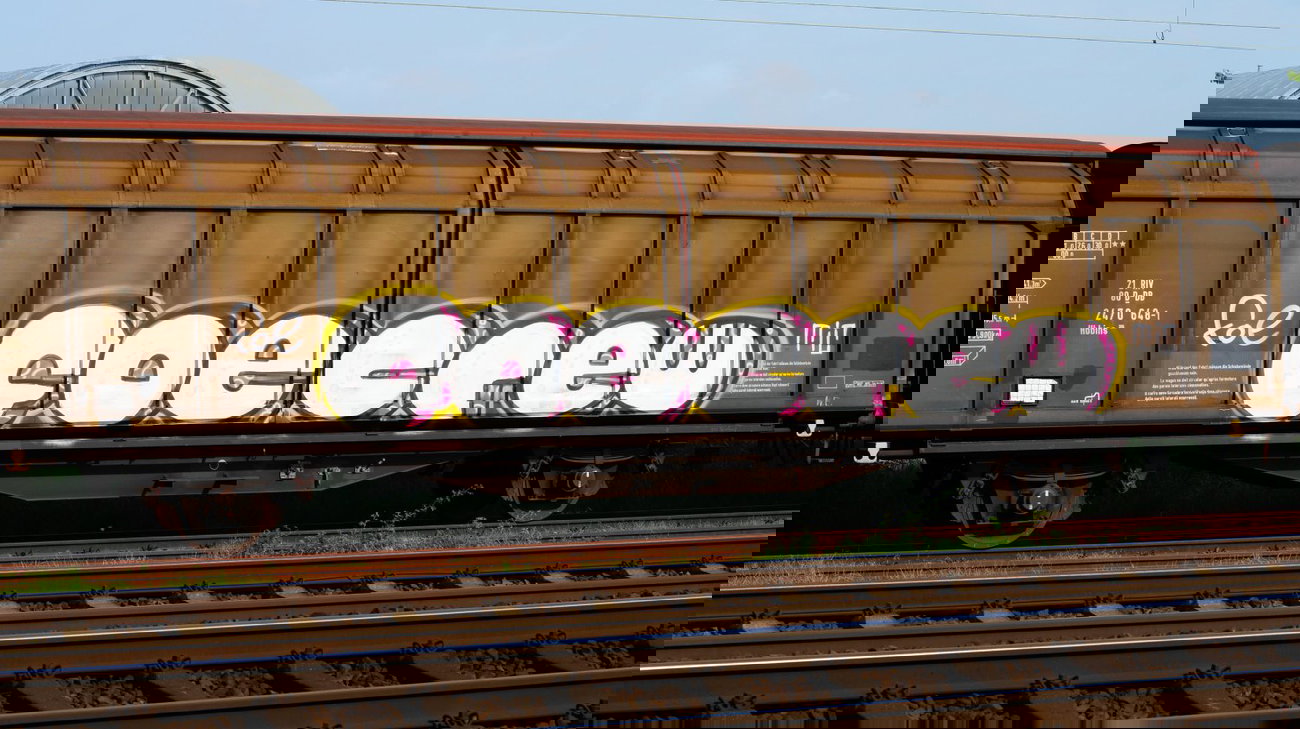 Graffiti Train - Photo by FOESandFriends - Tic, FOE, Crew
