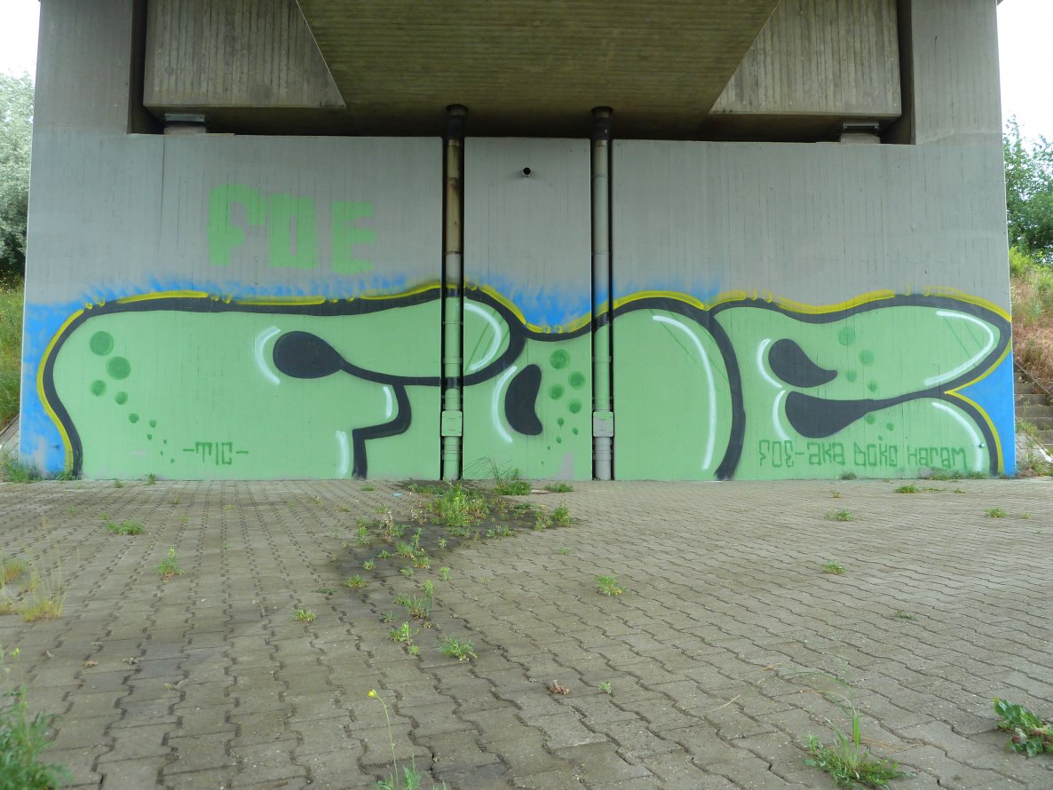 Graffiti Wall - Photo by FOESandFriends - Tic, FOE, Crew