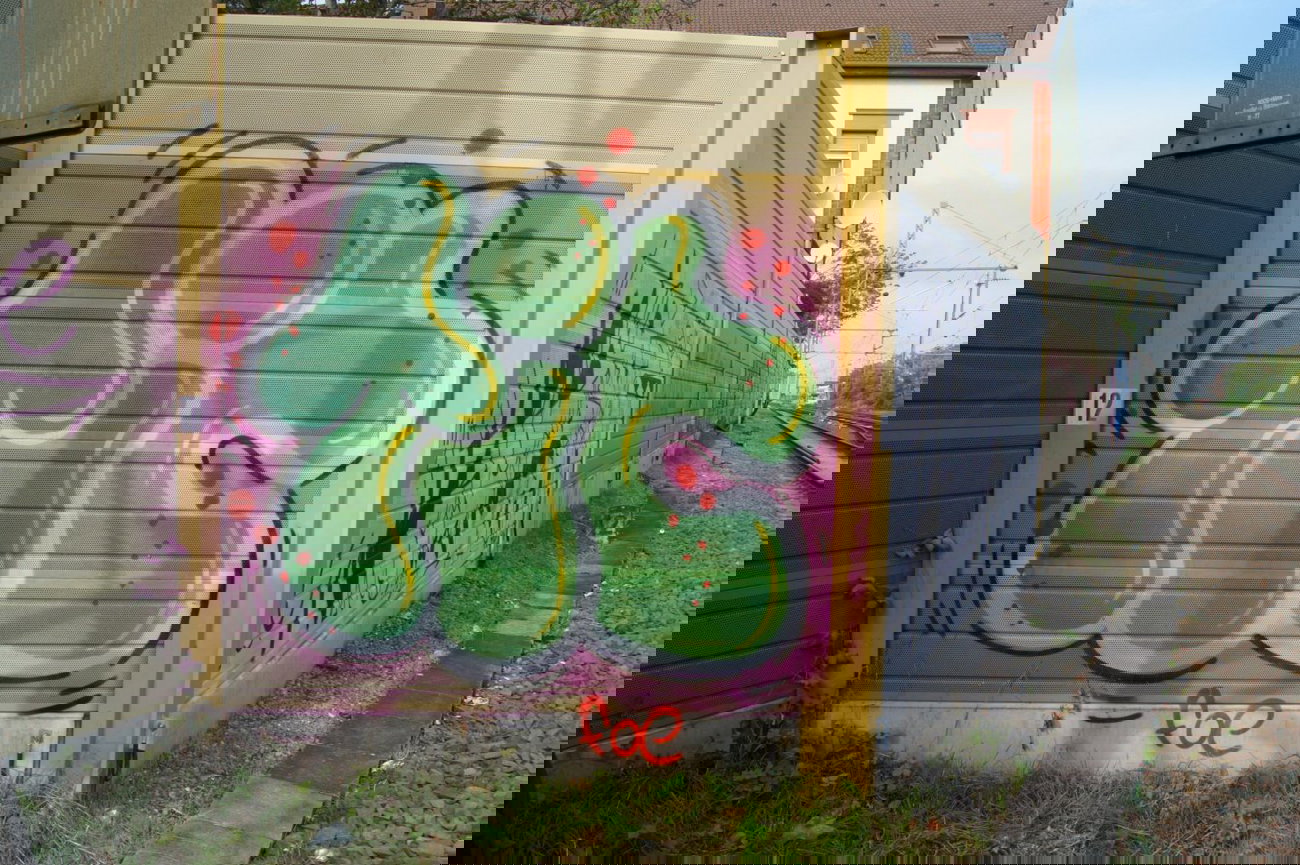 Graffiti Bombing - Photo by FOESandFriends - Tic, FOE, Crew