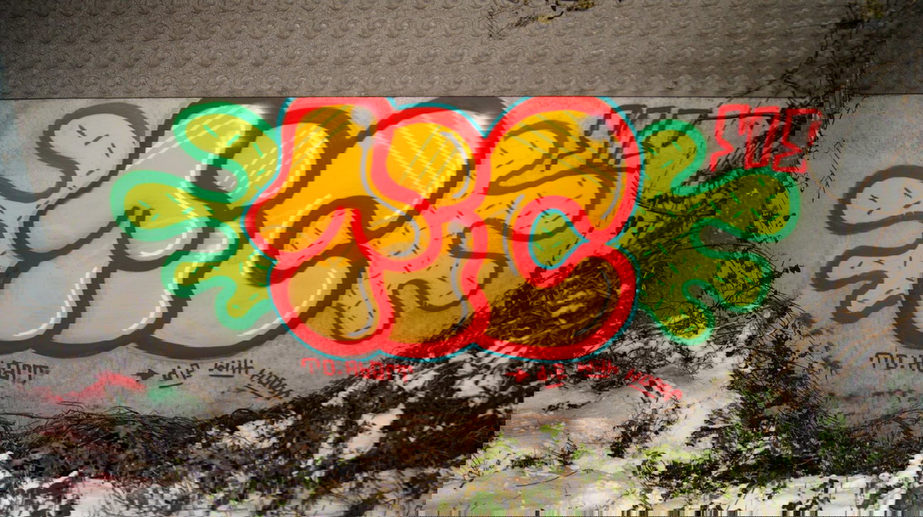 Graffiti Bombing - Photo by FOESandFriends - Tic, FOE, Crew