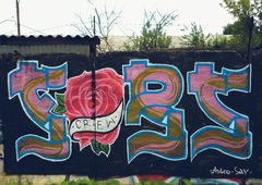 Photo #20140 by Antony_Acer