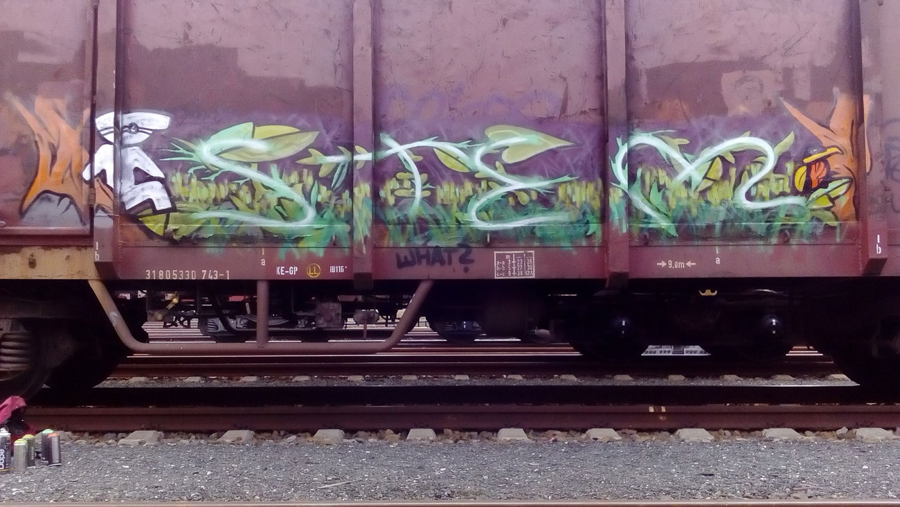 Graffiti Train in Niemcy - Photo by FR8SPOT - stem