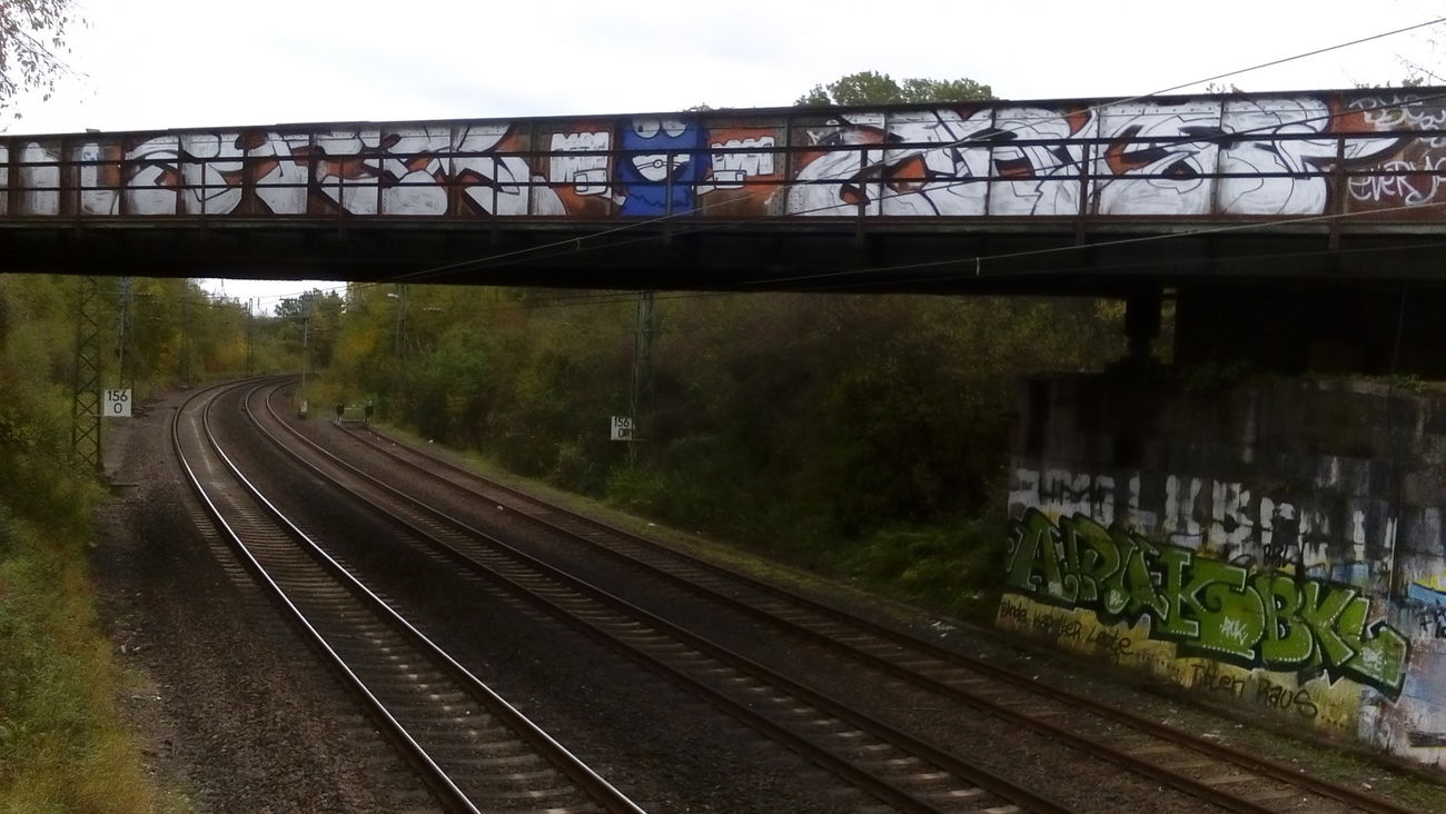 Graffiti Bombing in Niemcy - Photo by FR8SPOT - mets, stem