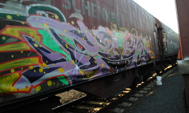 Graffiti Train in Niemcy - Photo by FR8SPOT - stem