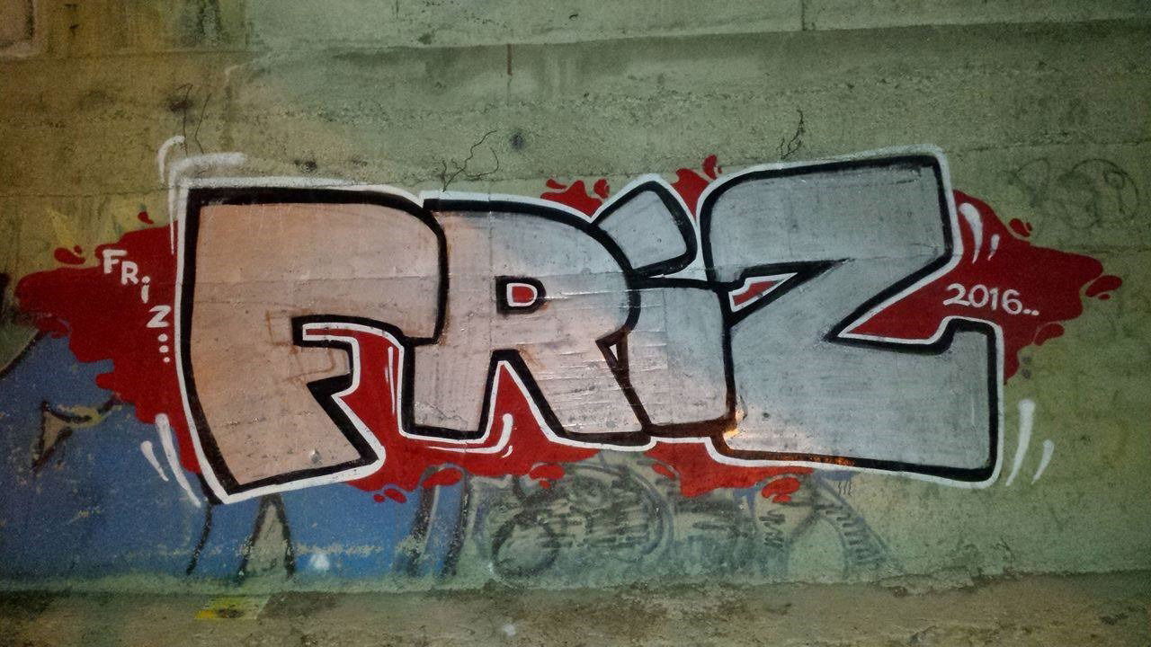 Graffiti Bombing - Photo by FRIZ (2016)