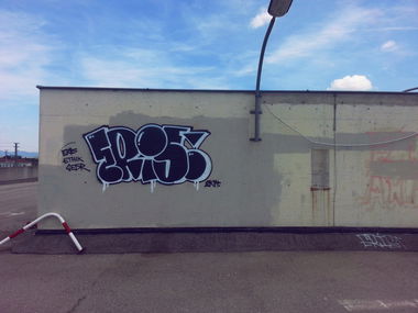 Graffiti Bombing - Photo by FRMONE - eris (2014)