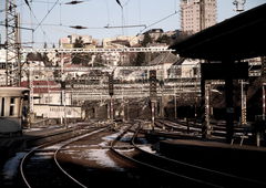 Photo #57698 by Tisot