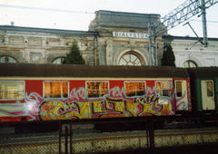 Photo #199469 by Belt