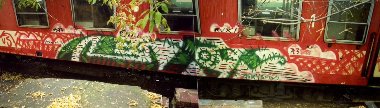 Graffiti Wall - Photo by FUX73 - FUX73, SAL, ZELDI