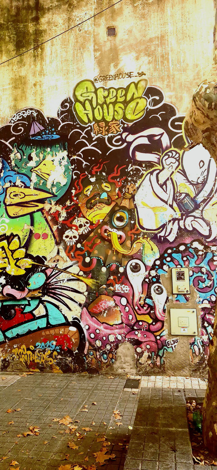 Graffiti Bombing - Photo by Fabio77 - murales, streetart (2025)