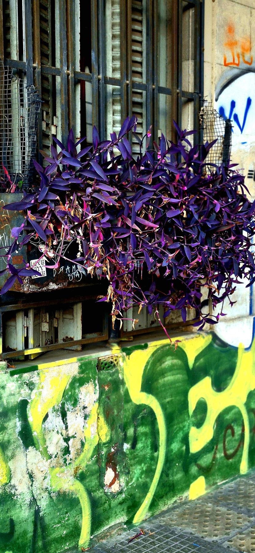 Graffiti Street Art - Photo by Fabio77 - houseart, graffitis (2025)