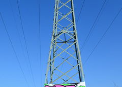 Photo #139022 by Startwo