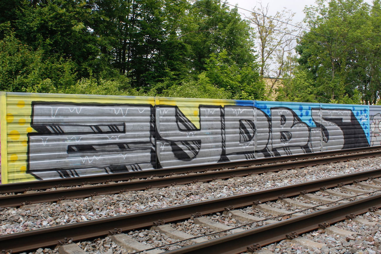 Graffiti Bombing - Photo by FameBalken