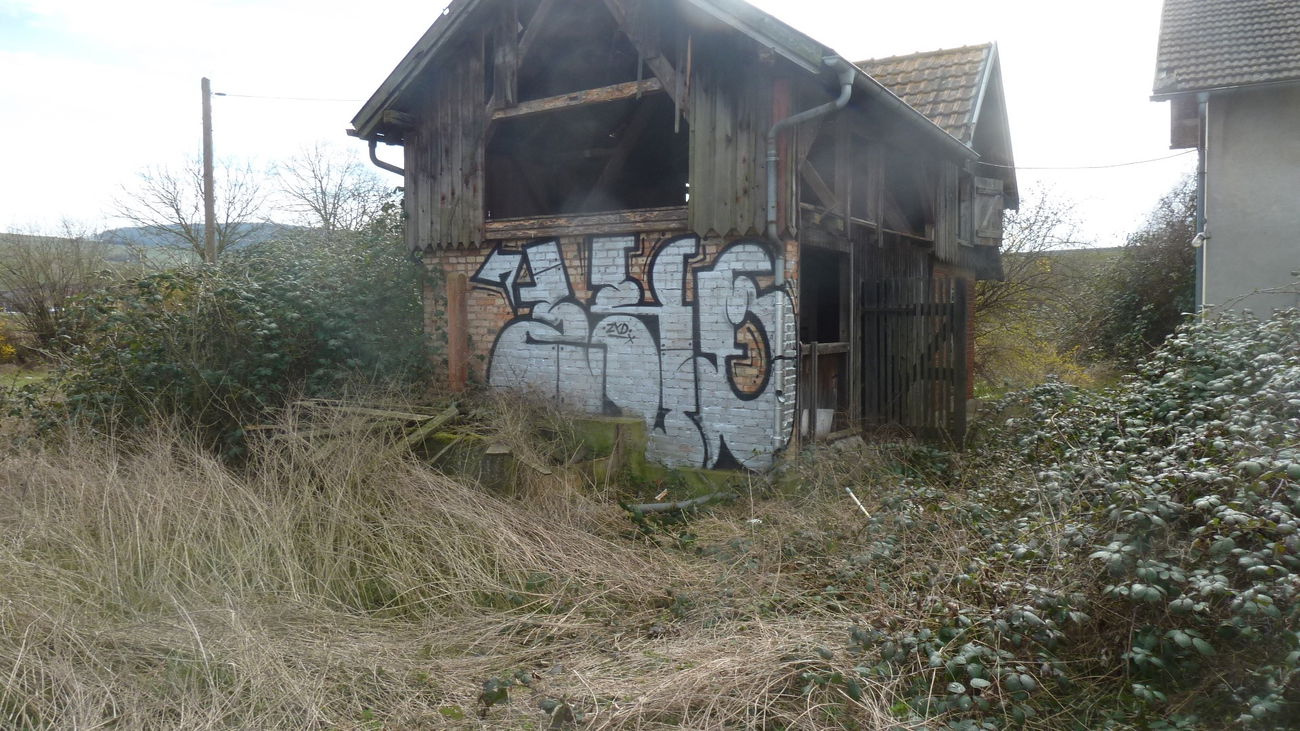 Graffiti Bombing - Photo by FameBalken