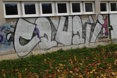 Graffiti Bombing - Photo by FameBalken