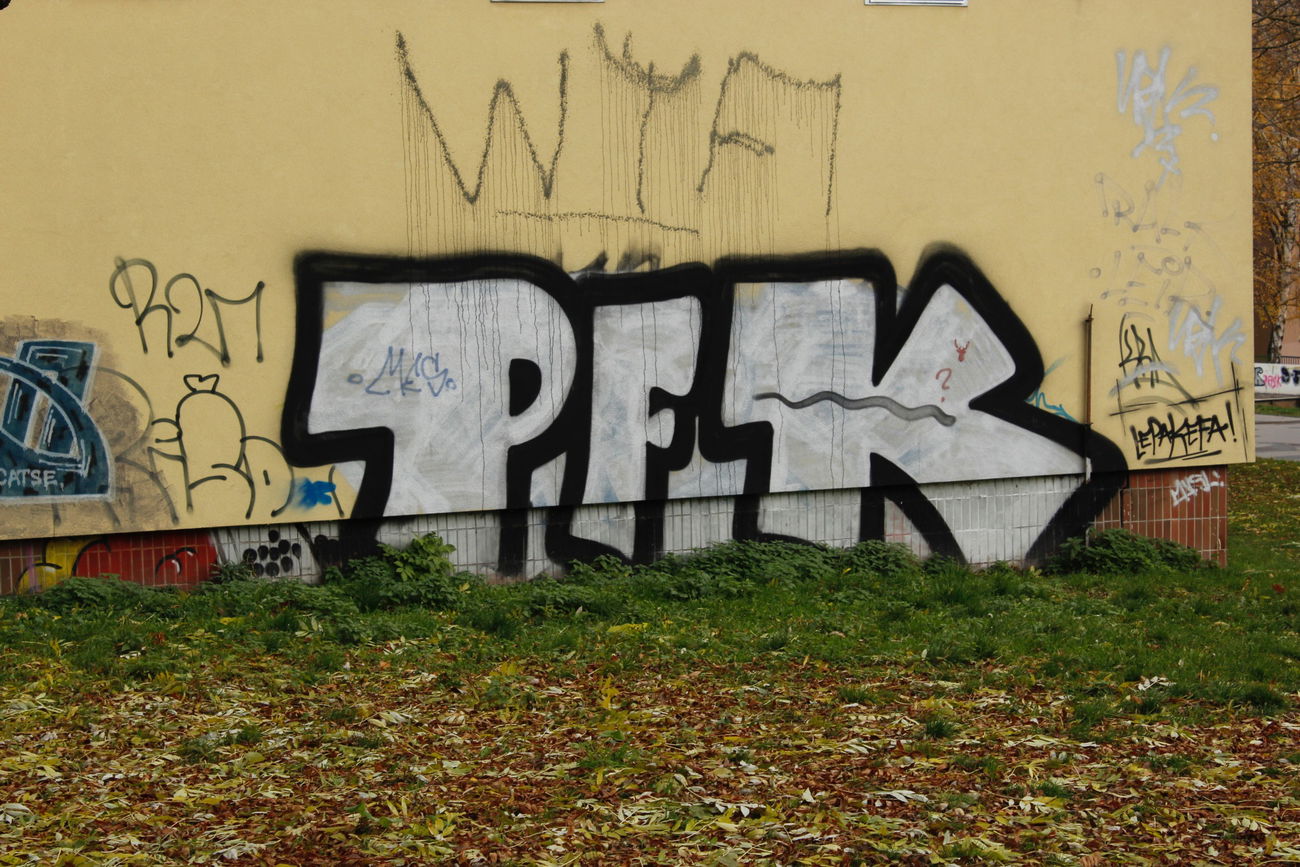 Graffiti Bombing - Photo by FameBalken