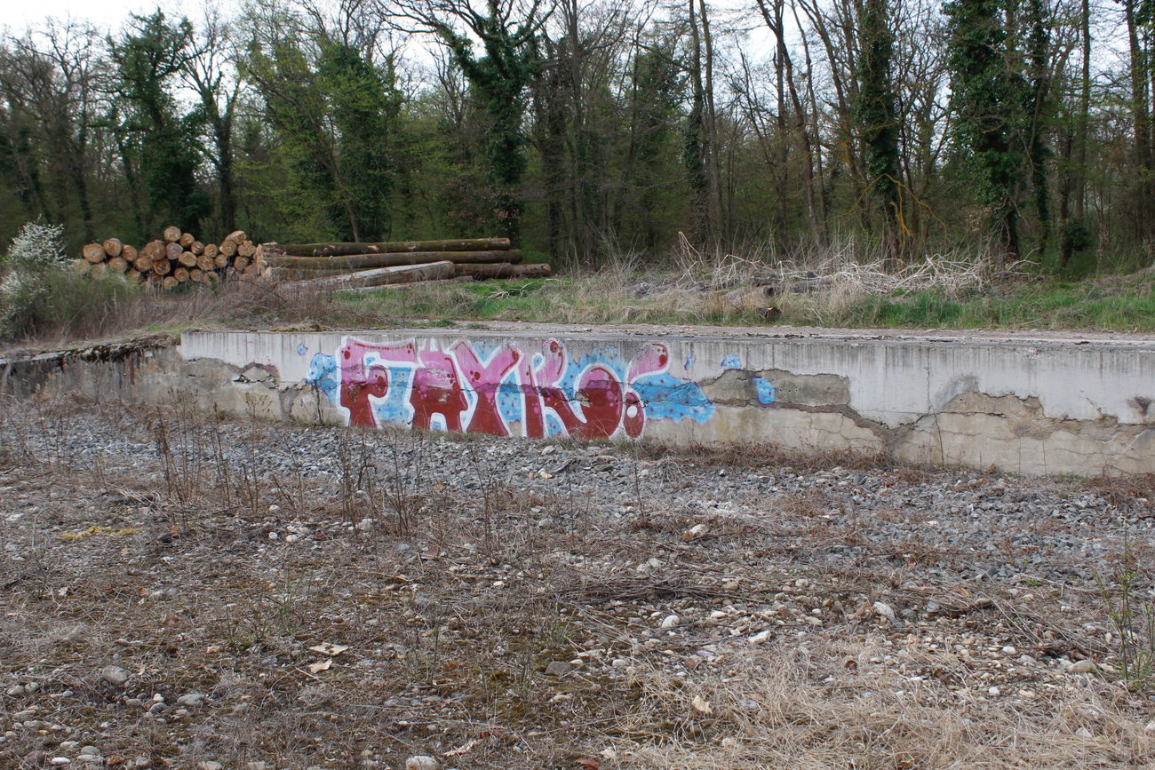 Graffiti Bombing - Photo by FameBalken