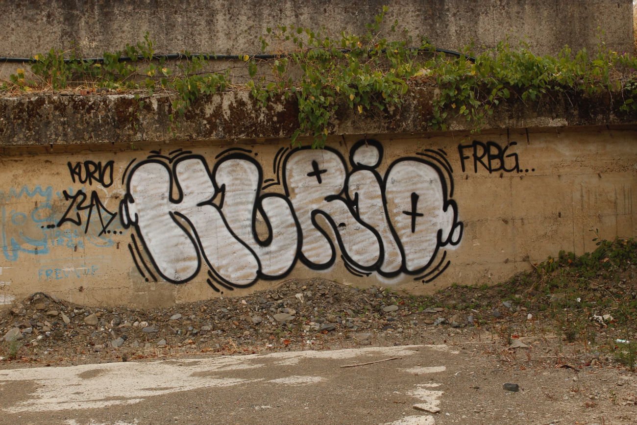 Graffiti Bombing - Photo by FameBalken