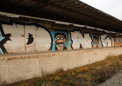 Graffiti Bombing - Photo by FameBalken