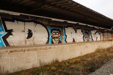 Graffiti Bombing - Photo by FameBalken