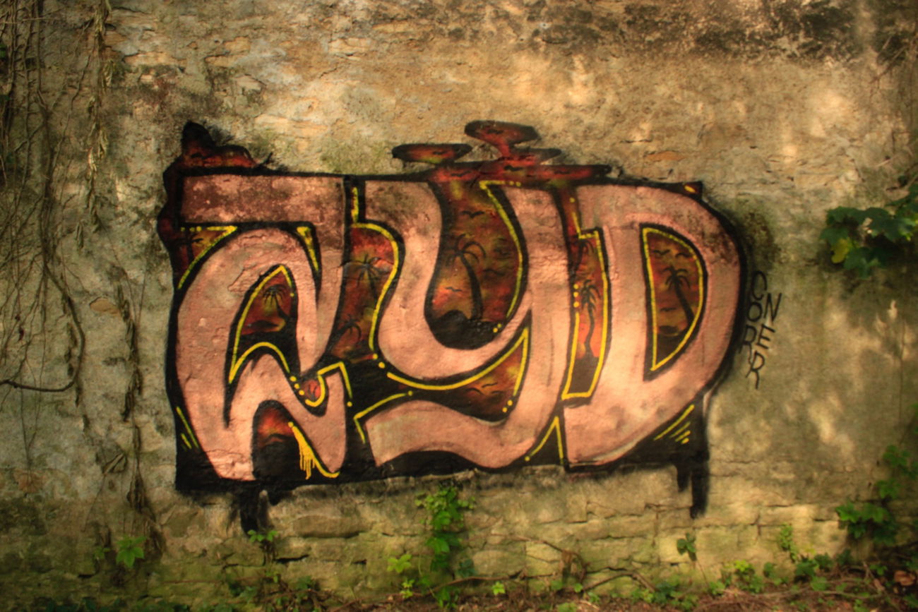 Graffiti Bombing - Photo by FameBalken