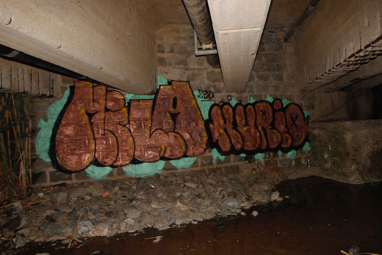 Graffiti Bombing - Photo by FameBalken