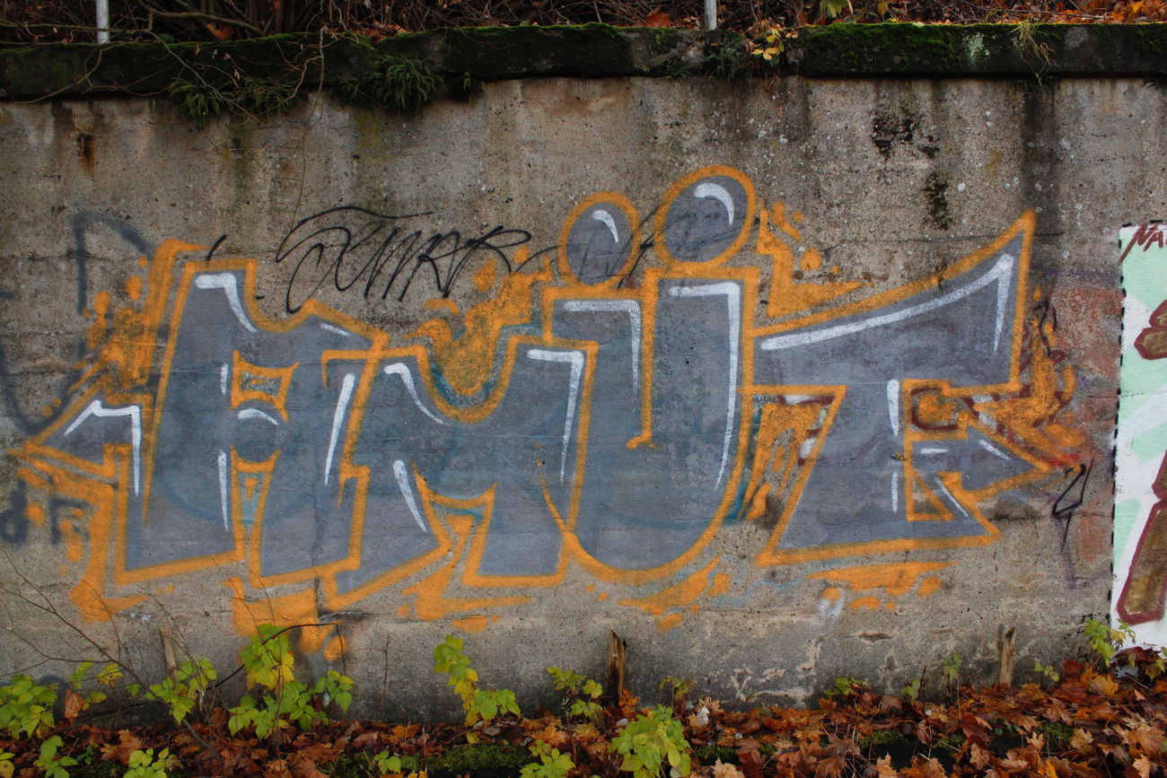 Graffiti Bombing - Photo by FameBalken