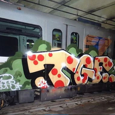 Graffiti Train - Photo by Fan - TGF, Osnabrück (2006)
