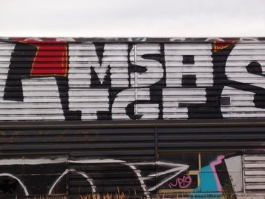 Graffiti Bombing - Photo by Fan - TGF (2006)