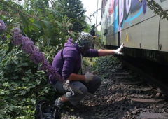 Photo #20226 by deadkennedis