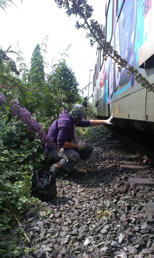 Graffiti Artwork in Köln - Photo by FarbenFroh - Krew, Train, Essi (2013)
