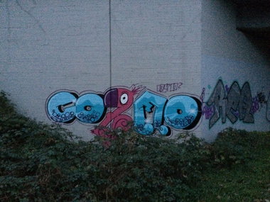 Graffiti Bombing - Photo by Farbkasten - cosmo (2013)