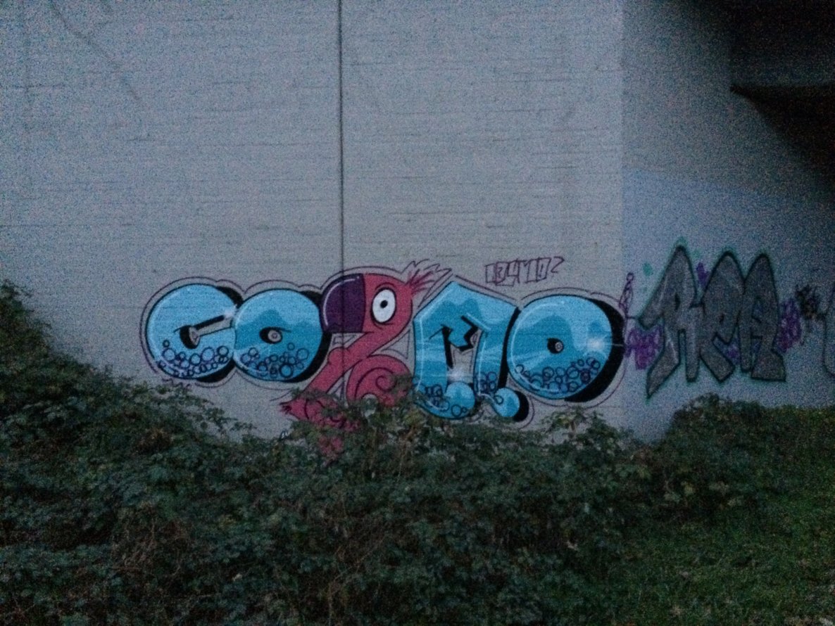 Graffiti Bombing - Photo by Farbkasten - cosmo (2013)