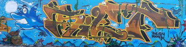 Graffiti Wall - Photo by Farbkiller - silt (2010)