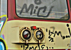 Photo #18910 by royalbone